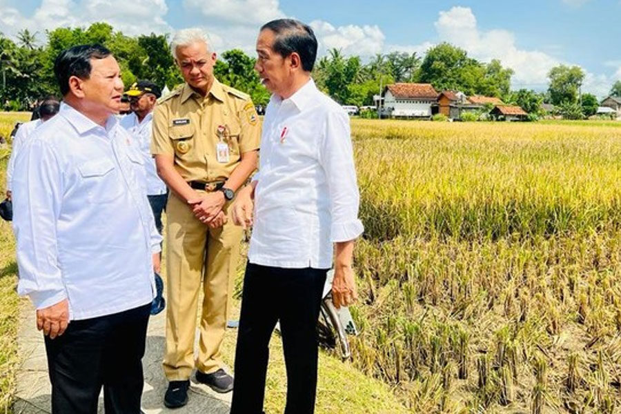 politik-suarateluk-1