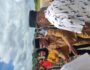 Sambut Kedatangan Wabup Fakfak di Bandara, Wabup Joko Pesparani Bukan Ajang Kompetisi Tapi Wadah Mempererat Persaudaraan